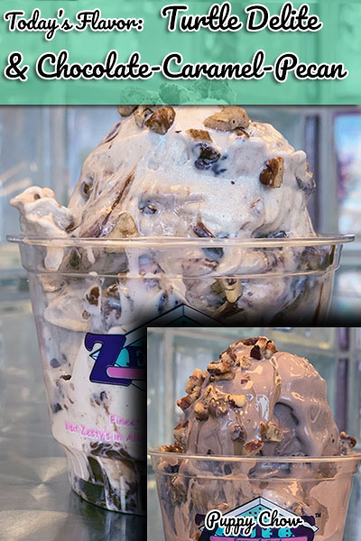 Zesty's Frozen Custard Flavor of the Day in Green Bay, WI